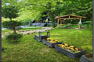 Sapanca Çağlayan Bungalow Genel 4